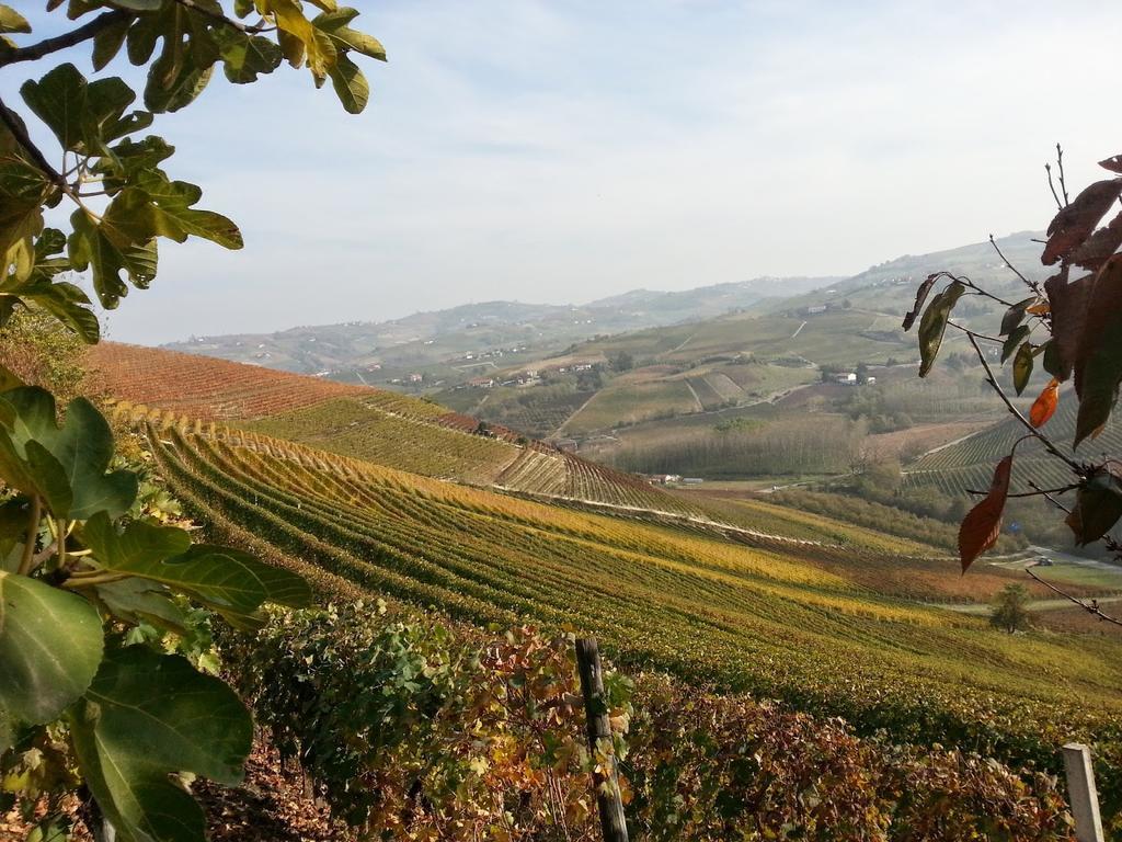Villa Barbero Alba Langhe Mango Kültér fotó